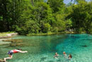 Florida Springs Rally